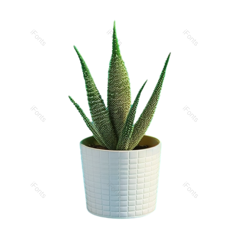 形状图片,商品元素,摄影PNG,花盆免抠素材